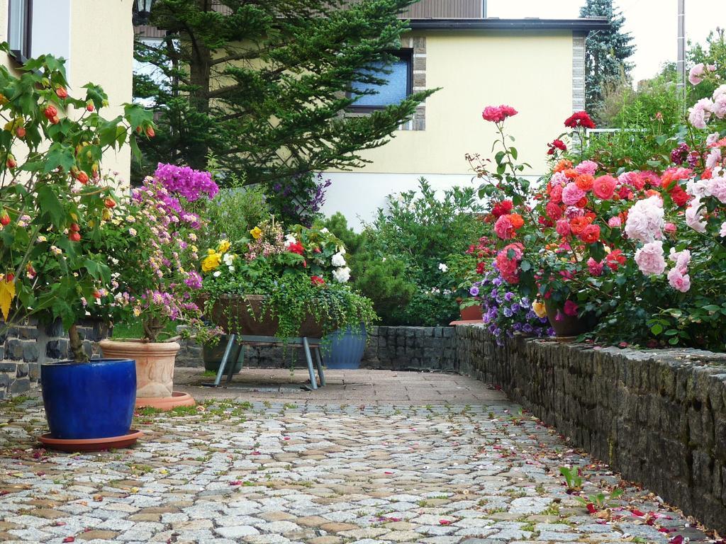 Ferienhaus Riedl Klingenthal Esterno foto