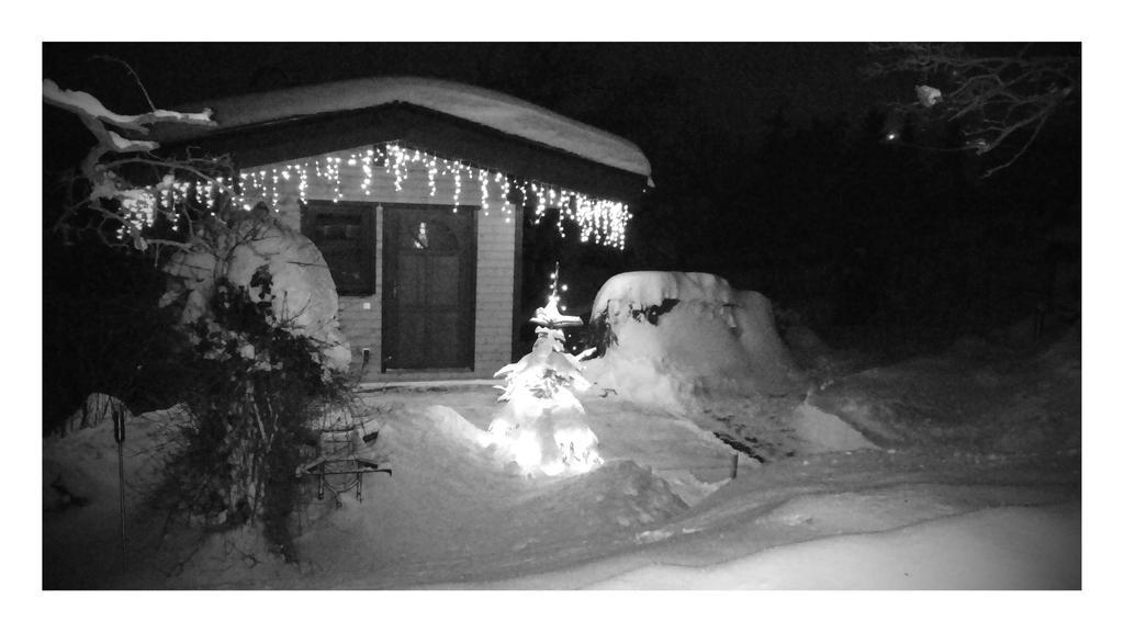Ferienhaus Riedl Klingenthal Esterno foto