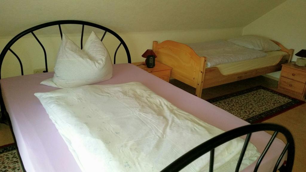 Ferienhaus Riedl Klingenthal Esterno foto