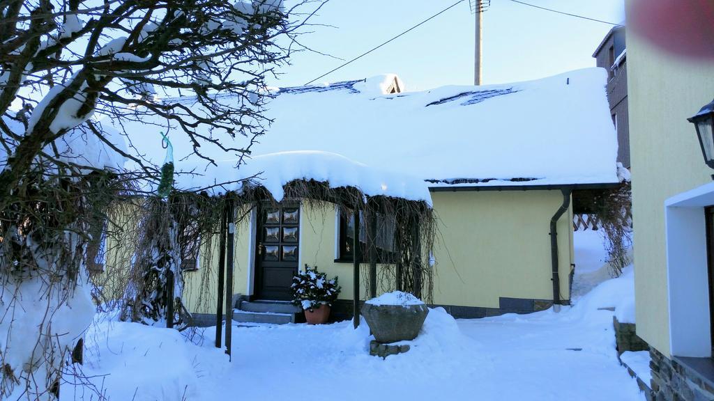 Ferienhaus Riedl Klingenthal Esterno foto
